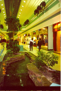 M_2000_343_481.jpg