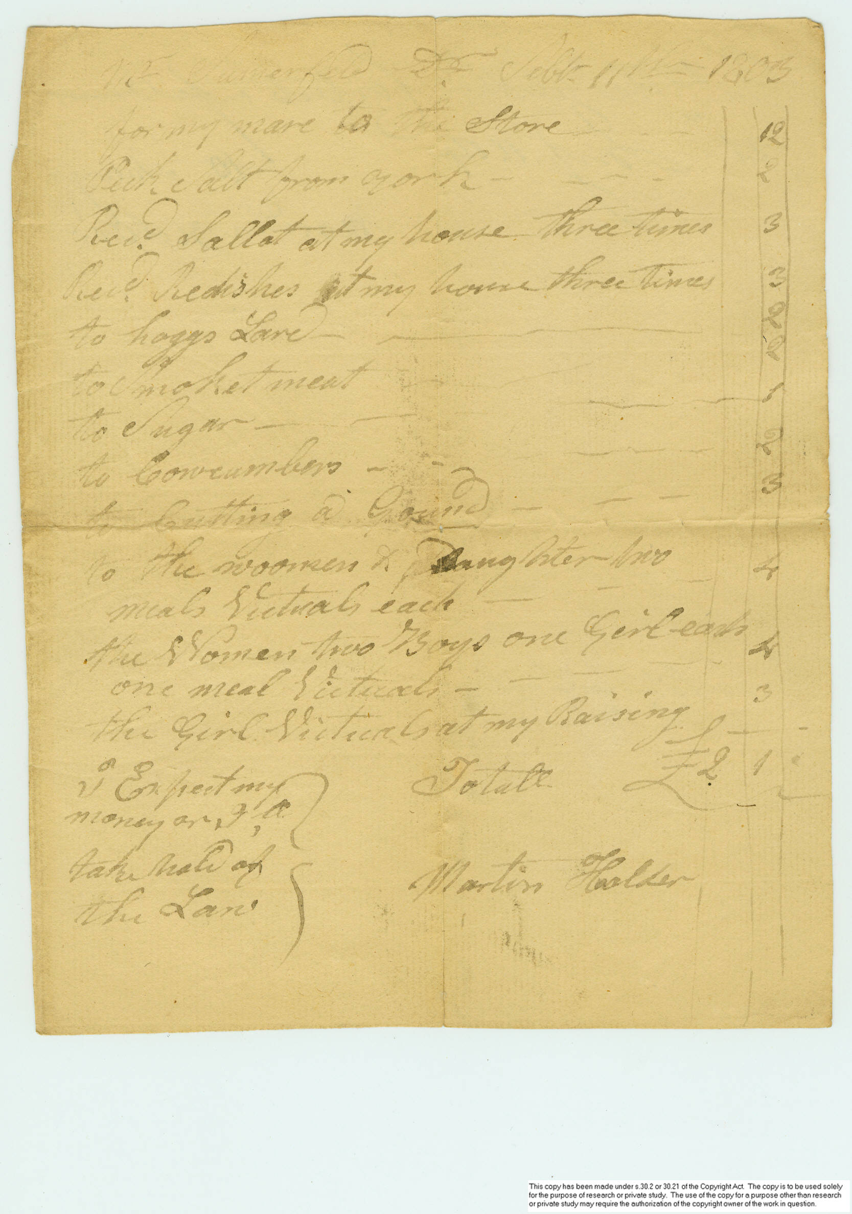 Summerfeldt papers Doc. 21 (side a).jpg